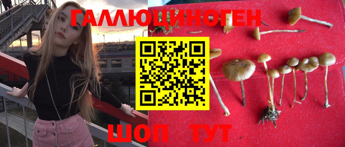 Галлюциногенные грибы MAGIC MUSHROOMS  наркота  Городец  Вход с VPN  Псилоцибиновые грибы Psilocybe 